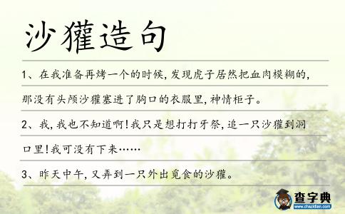 沙獾造句