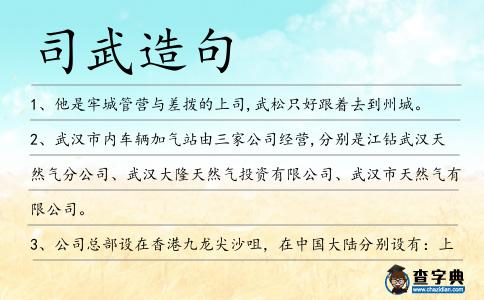司武造句