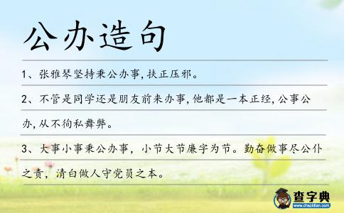 公辦造句