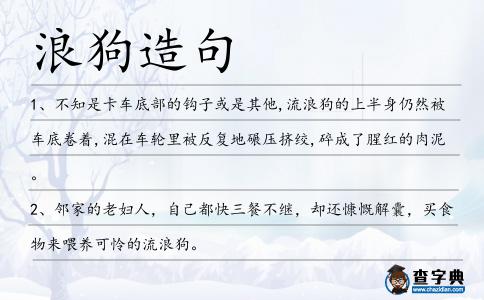 浪狗造句