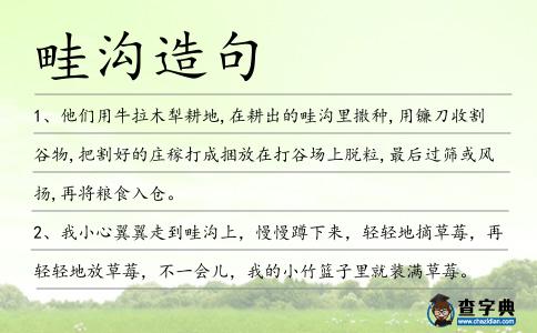 畦溝造句