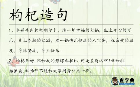 枸杞造句