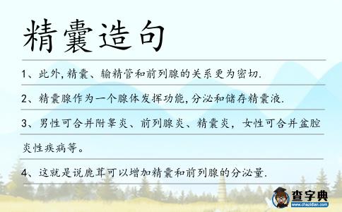 精囊造句