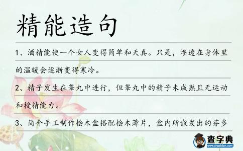 精能造句