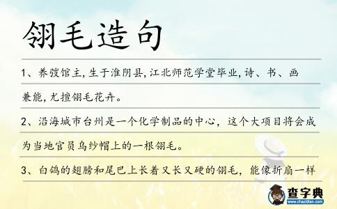 翎毛造句