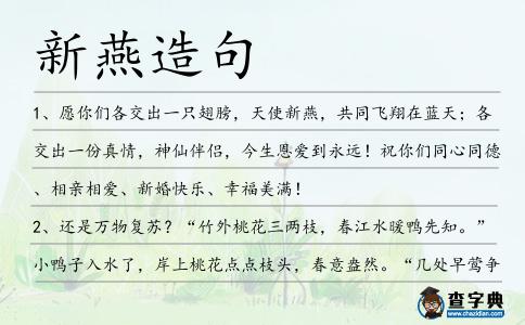 新燕造句