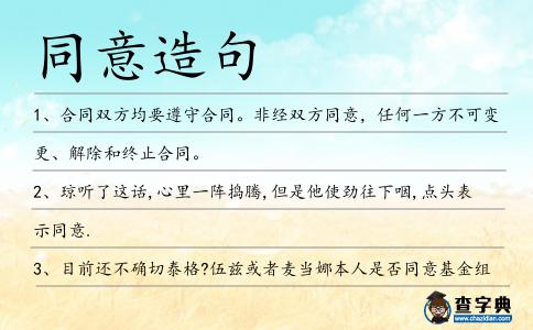 同意造句