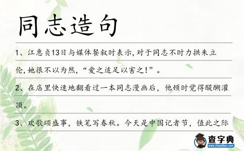 同志造句