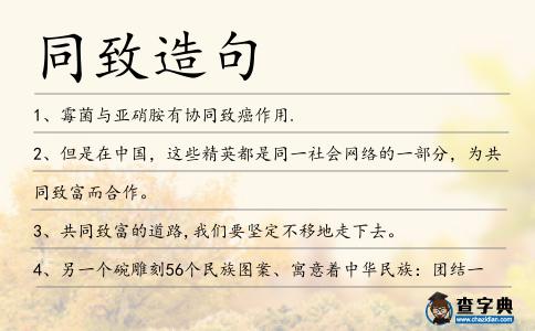 同致造句