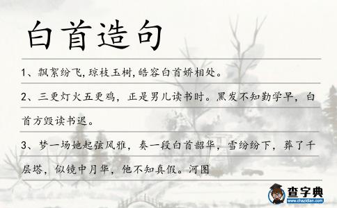 白首造句