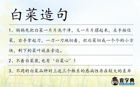 白菜造句