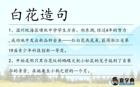 白花造句