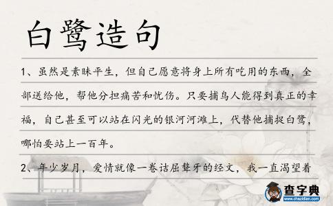 白鷺造句