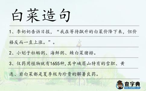 白菜造句