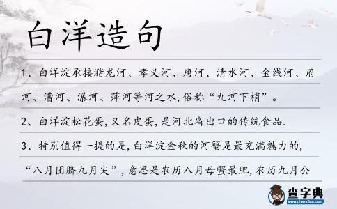 白洋造句