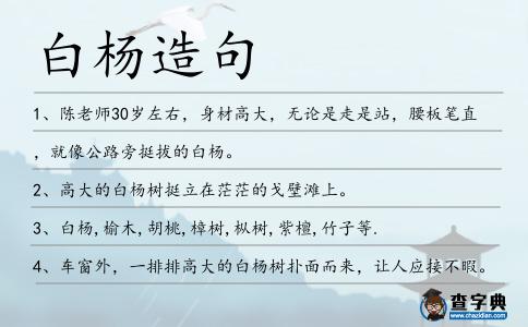 白楊造句