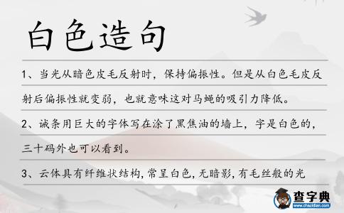 白色造句