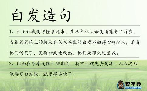 白發(fā)造句