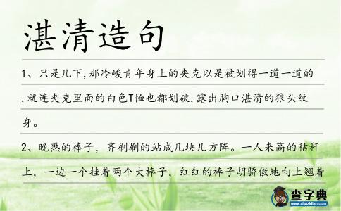 湛清造句