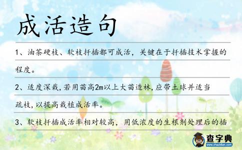 成活造句