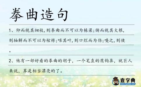 拳曲造句