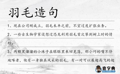 羽毛造句