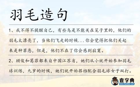 羽毛造句