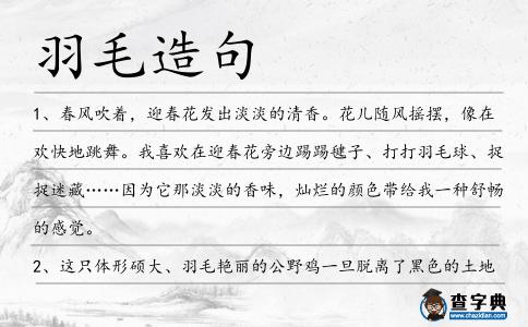 羽毛造句