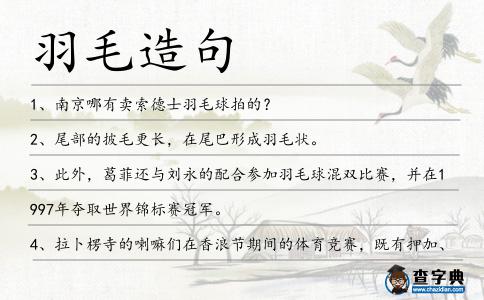 羽毛造句