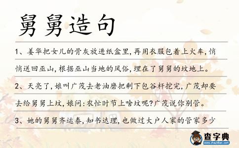 舅舅造句