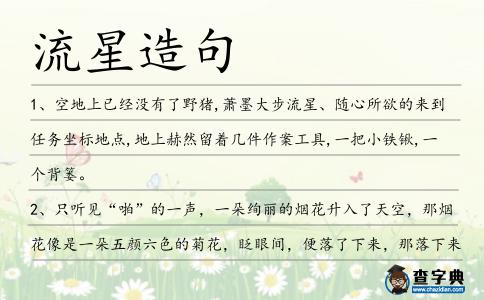 流星造句