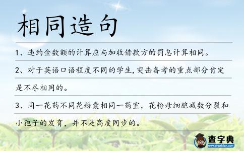 相同造句