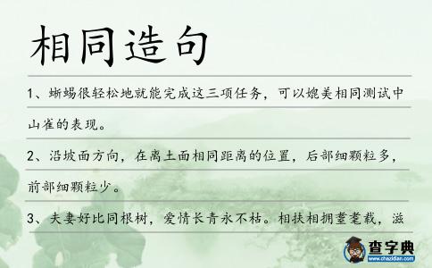 相同造句