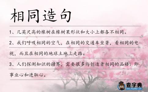 相同造句