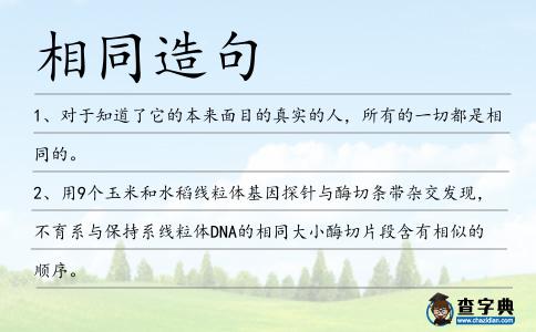 相同造句