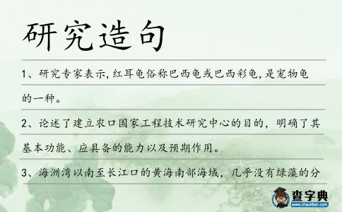 研究造句