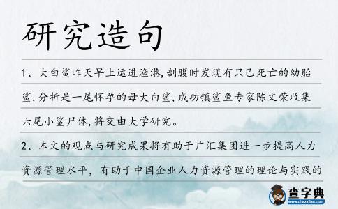 研究造句