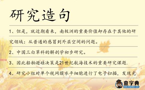 研究造句