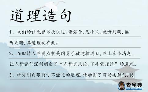 道理造句