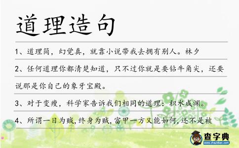 道理造句