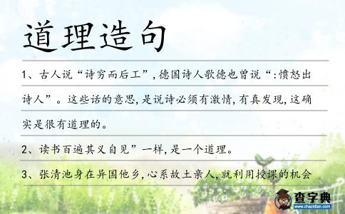 道理造句
