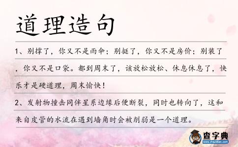 道理造句