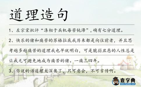 道理造句