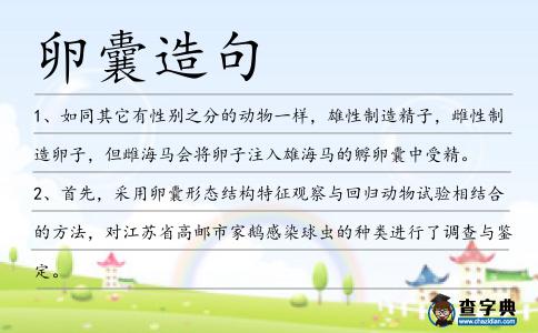卵囊造句