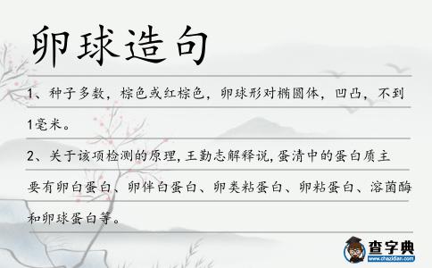 卵球造句