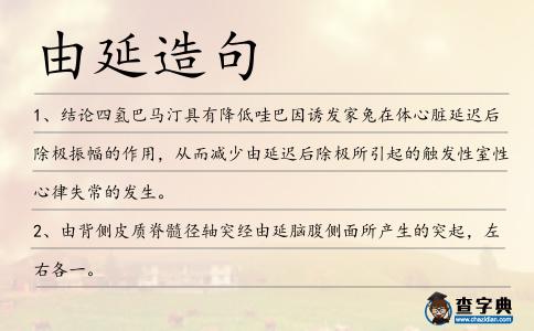 由延造句