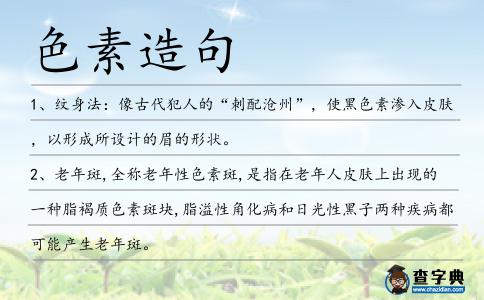 色素造句
