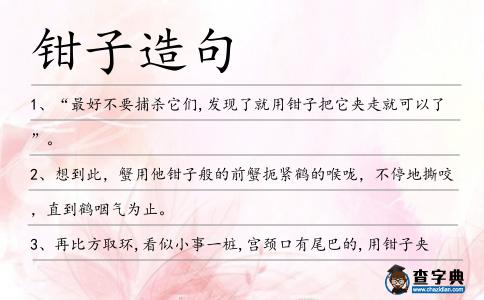 鉗子造句