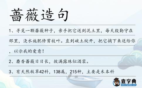 薔薇造句