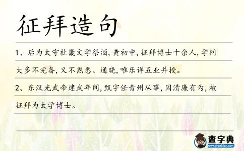征拜造句
